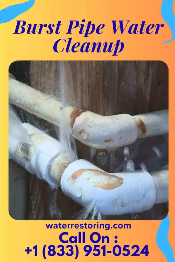 Burst Pipe Water Cleanup in St. George Island, MD