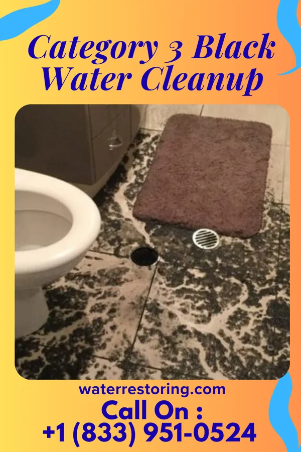 Category 3 Black Water Cleanup in St. George Island, MD