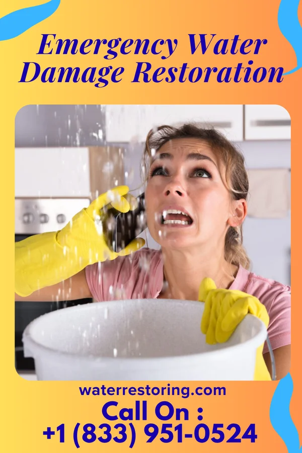 Emergency Water Damage Restoration in St. George Island, MD