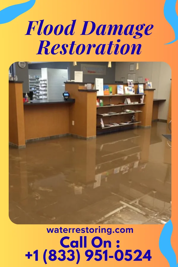 Flood Damage Restoration in St. George Island, MD